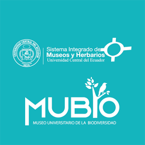 cuadrado de logos-23