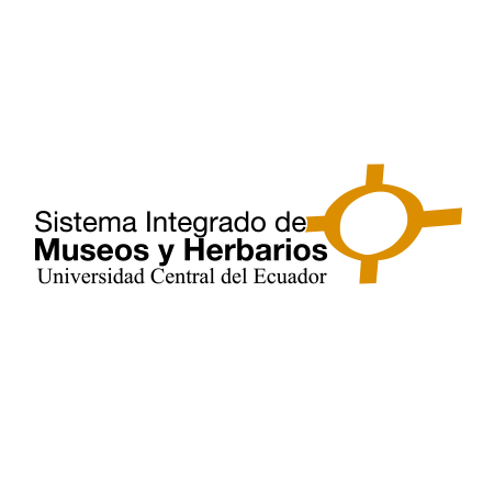 Museos pervivientes de la UCE: cosiendo experiencias desde flujos alterados