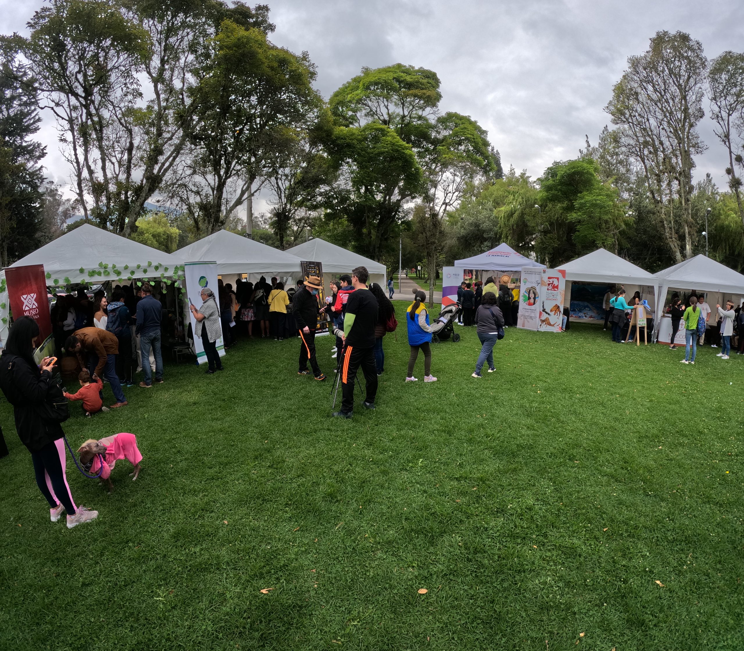 DESCUBRE LA AMAZONIA2