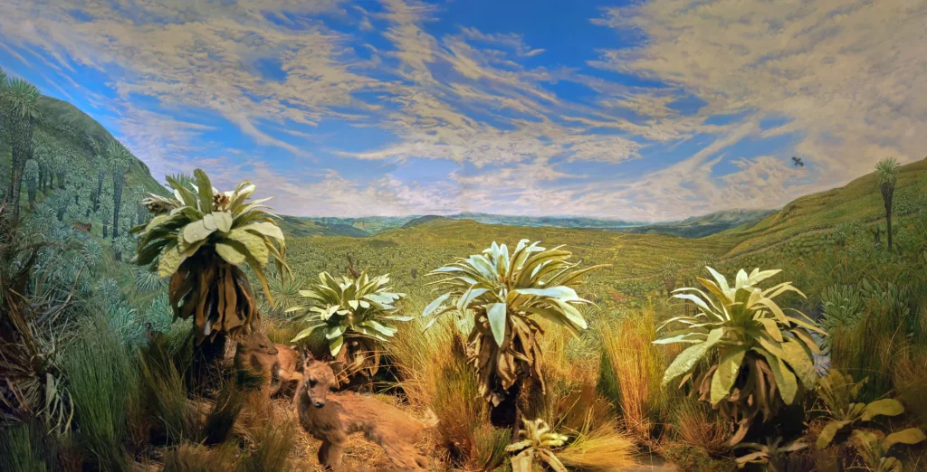 Museo de Historia Natural Gustavo Orcés V.