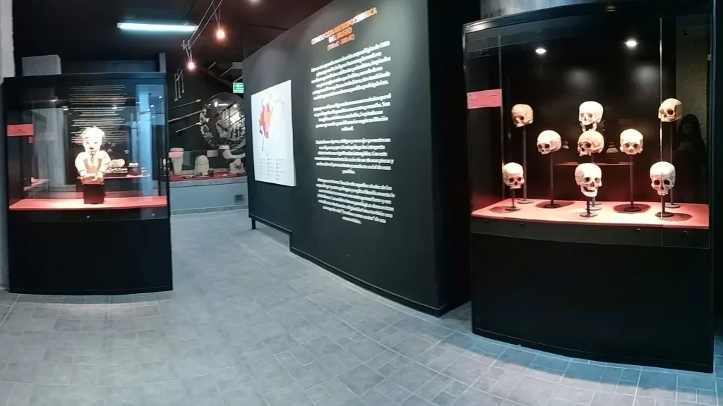 Museo Antropológico Antonio Santiana